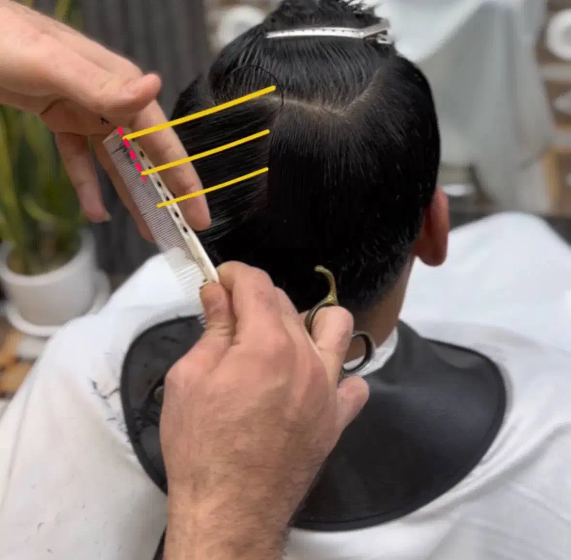 آموزشگاه آرایشگری فنی حرفه ای|خدمات آموزشی|نجف‌آباد, دانش|دیوار