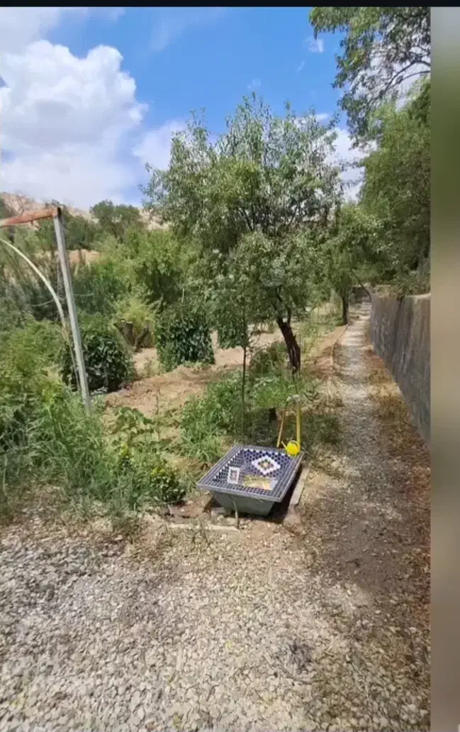 باغ مشجر  ۱.۲۰۰ متری نزدیک شهر|فروش خانه و ویلا|تویسرکان, |دیوار