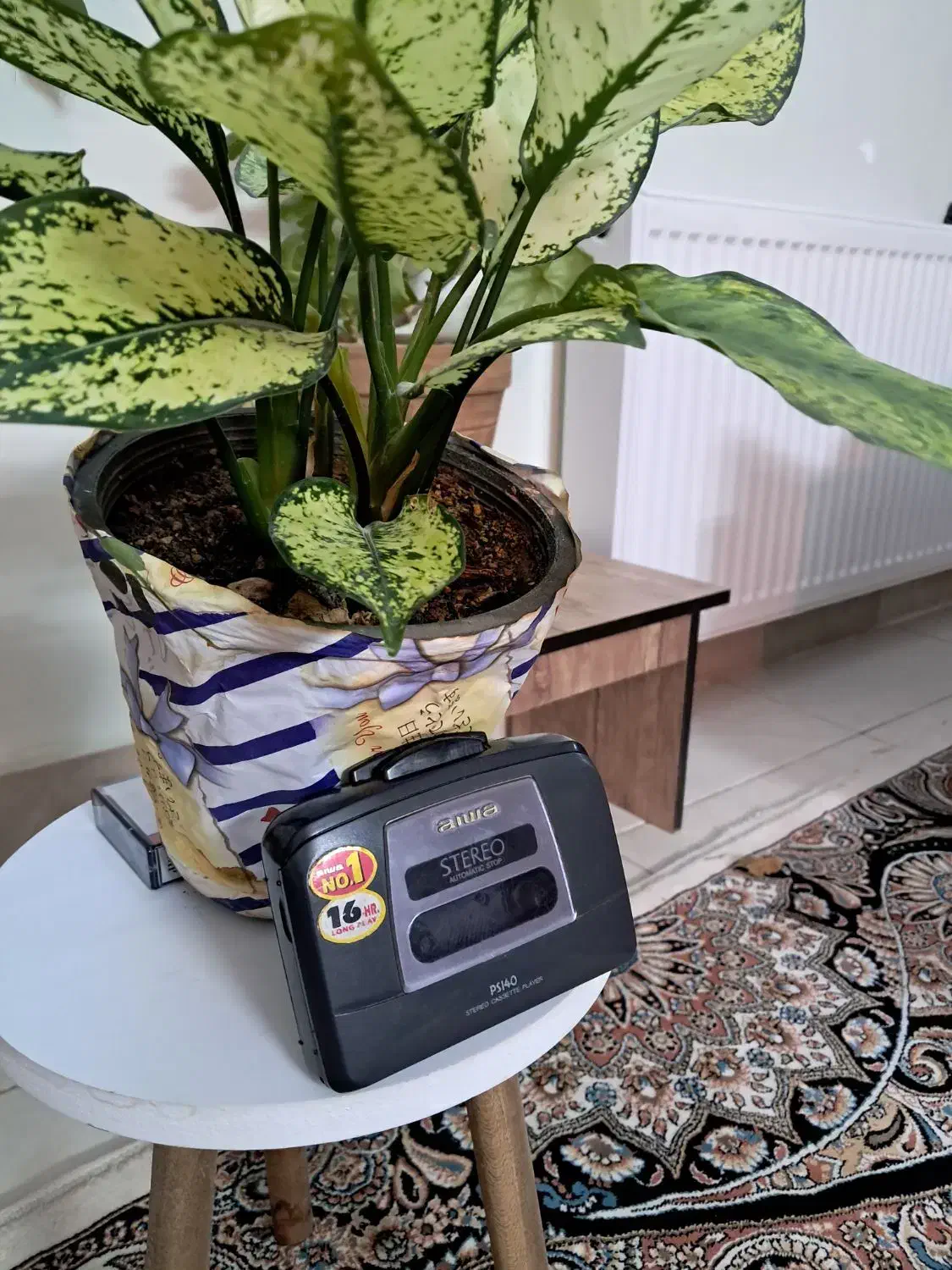 واکمن آیوا ، سالم|پخش‌کننده همراه|سبزوار, توحیدشهر|دیوار