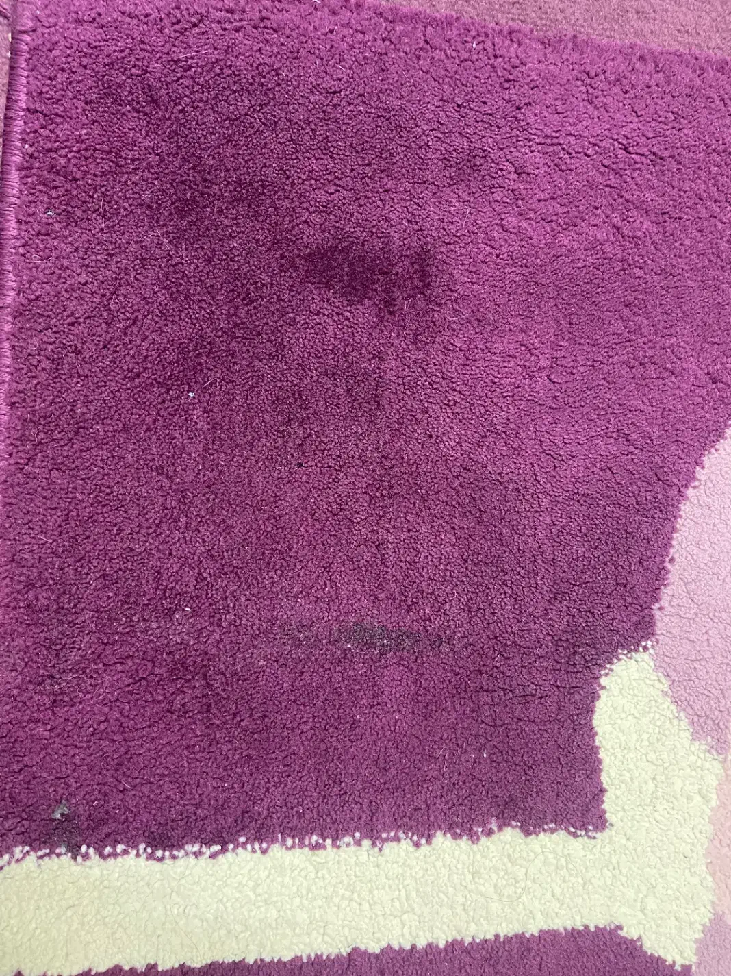 گلیم فرش۴متری|گلیم، جاجیم، گبه|گنبد کاووس, |دیوار