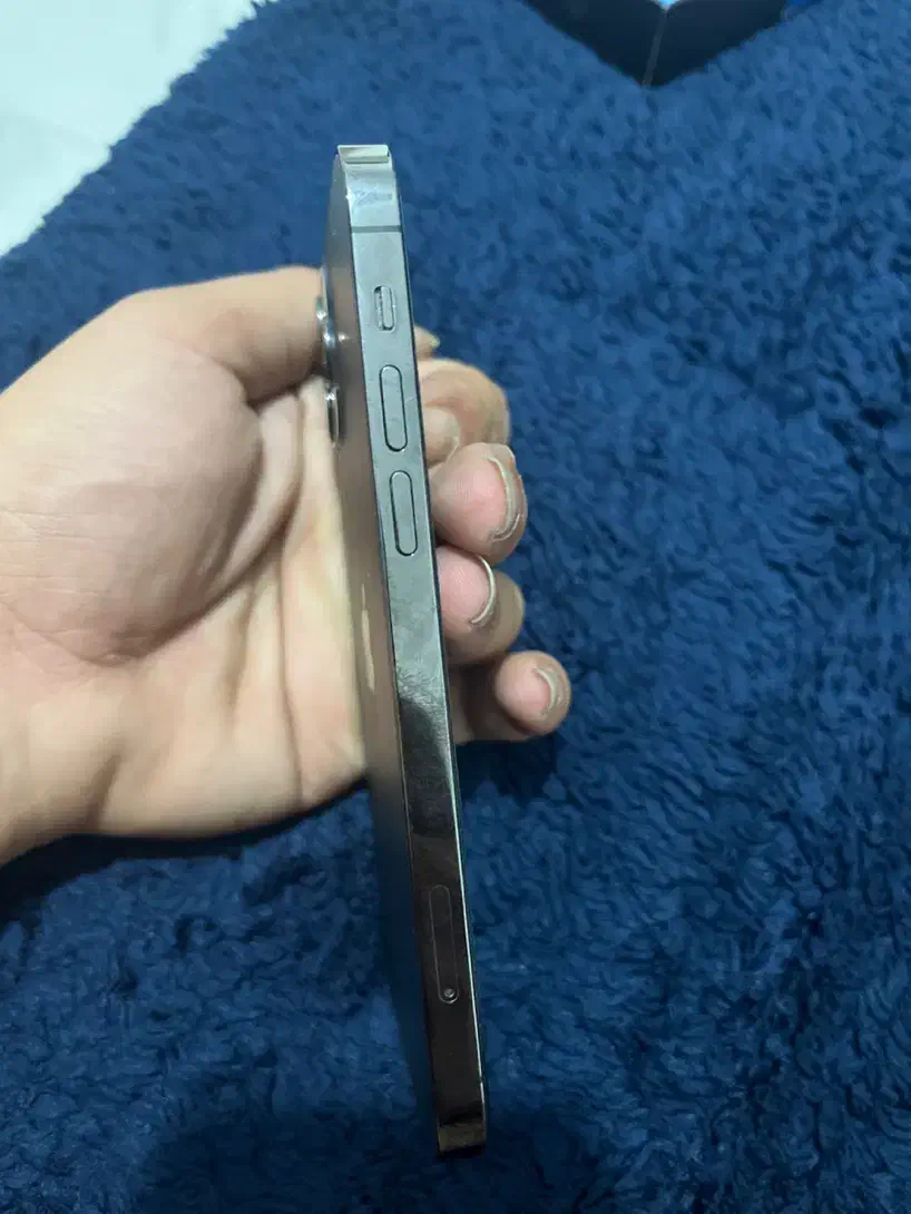 آیفون ۱۲ پرو LLa|موبایل|رامسر, |دیوار