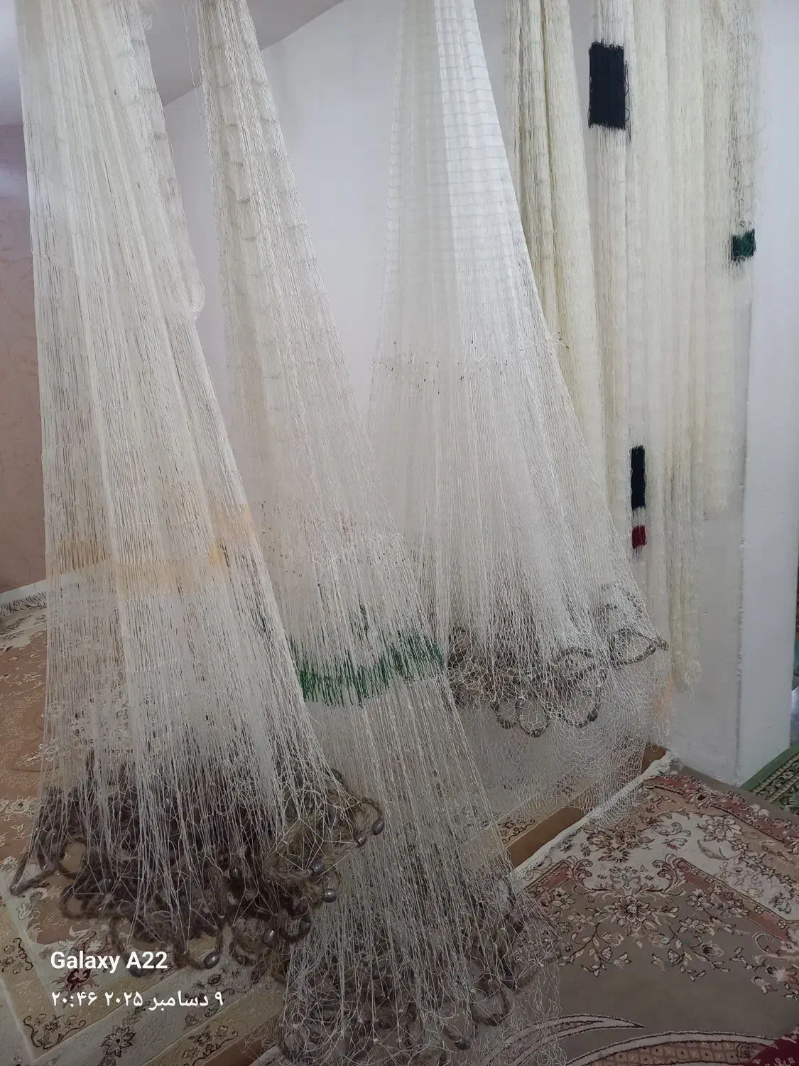 سفارش ماشک|ماهیگیری|تالش, هشتپر|دیوار