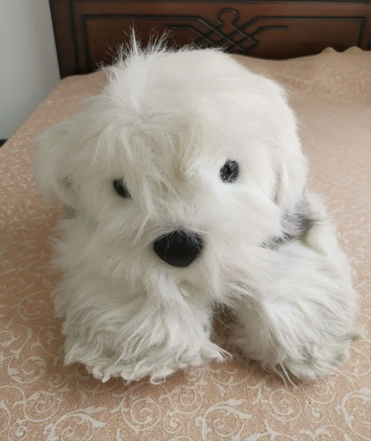 عروسک سگ خارجی|اسباببازی|مشهد, هفت تیر (حافظ)|دیوار