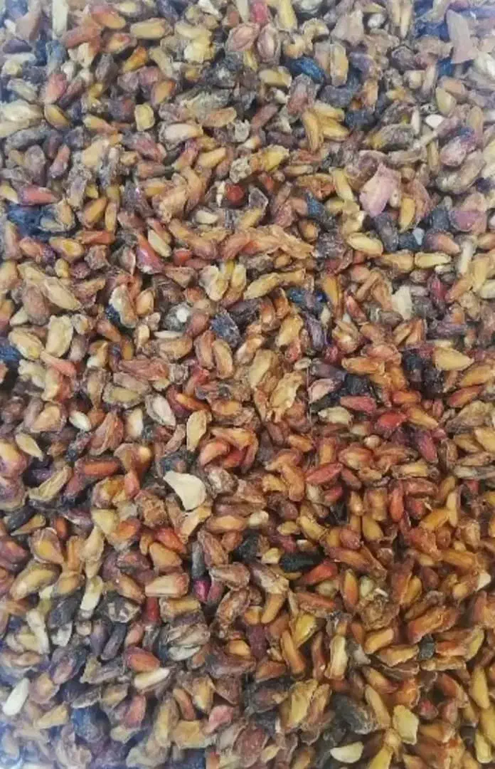 انار دون گوشتی|خوردنی و آشامیدنی|قم, آزادگان|دیوار