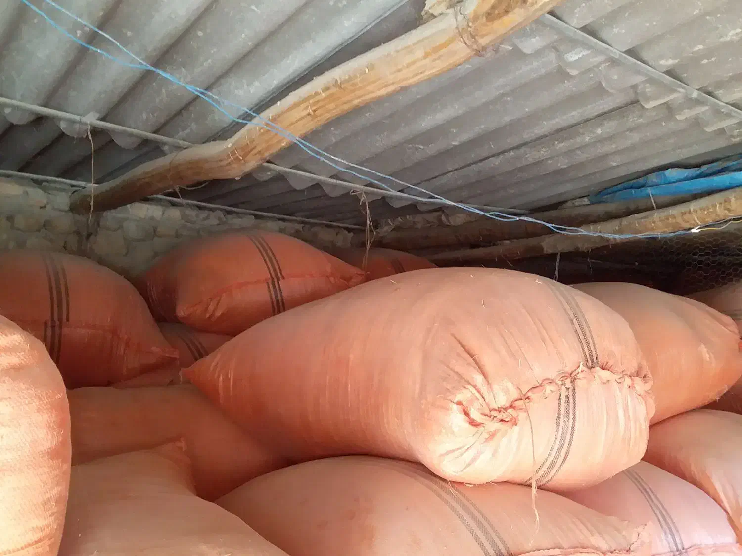 کاه تمیز امسال، شلیف گرفته شده ،کیلویی۱۸۰۰۰ تومان|حیوانات مزرعه|چرام, |دیوار