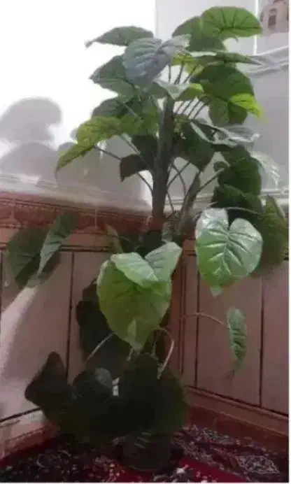 فروش میز تلویزیون، میز اتو، میز کامپیوتر، میزتحریر|کلکسیون و سرگرمی|زابل, |دیوار