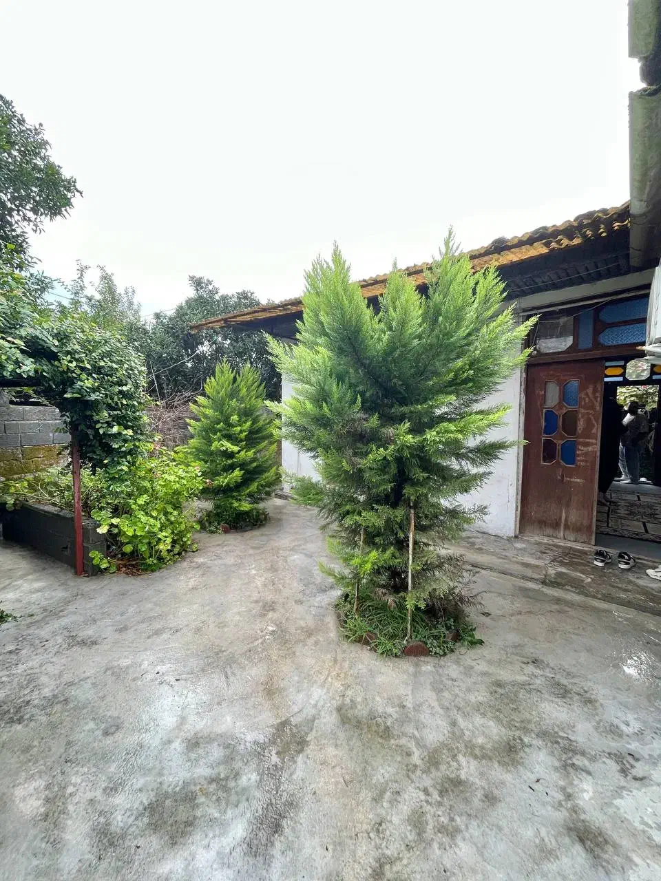 خونه کلنگی قابله استفاده فقط پو*ل زمین بده/نور|فروش زمین و ملک کلنگی|رامسر, |دیوار