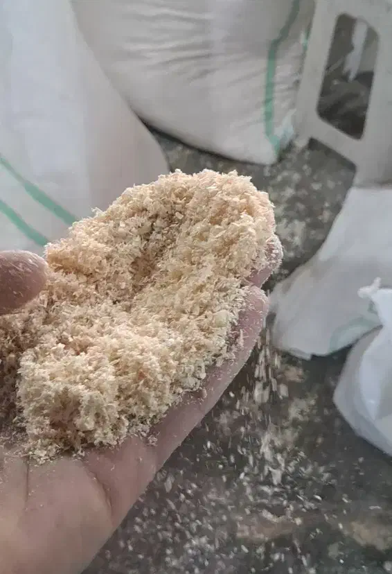 پوشال و خاک چوب|عمده‌فروشی|تهران, پیکان شهر|دیوار