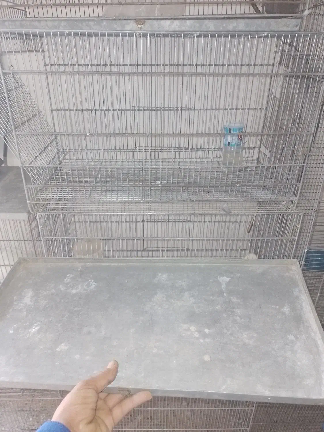 قفس غلامی جوجه پران ۱۵عدد|لوازم جانبی حیوانات|قرچک, میرزائی جنوبی|دیوار