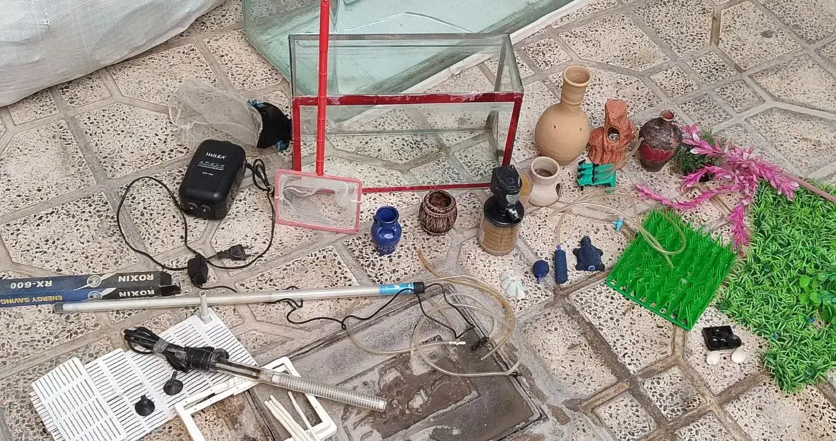 آکواریوم و وسایل های آکواریوم|ماهی|سنقر, |دیوار