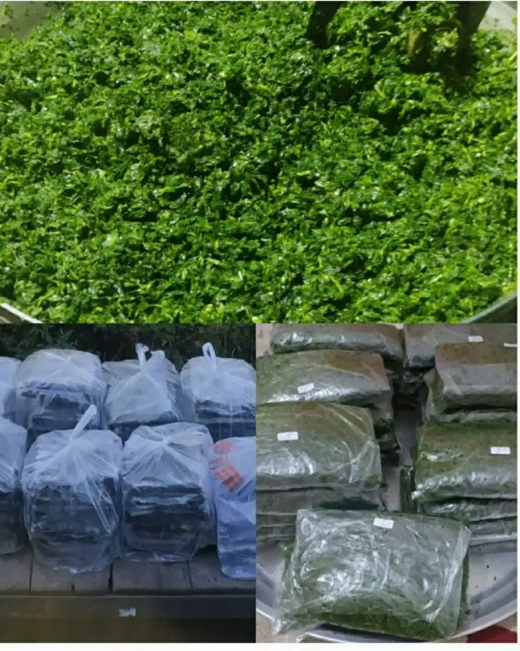 سبزی خوزستان قرمه|خوردنی و آشامیدنی|هشتگرد, هشتگرد قدیم|دیوار