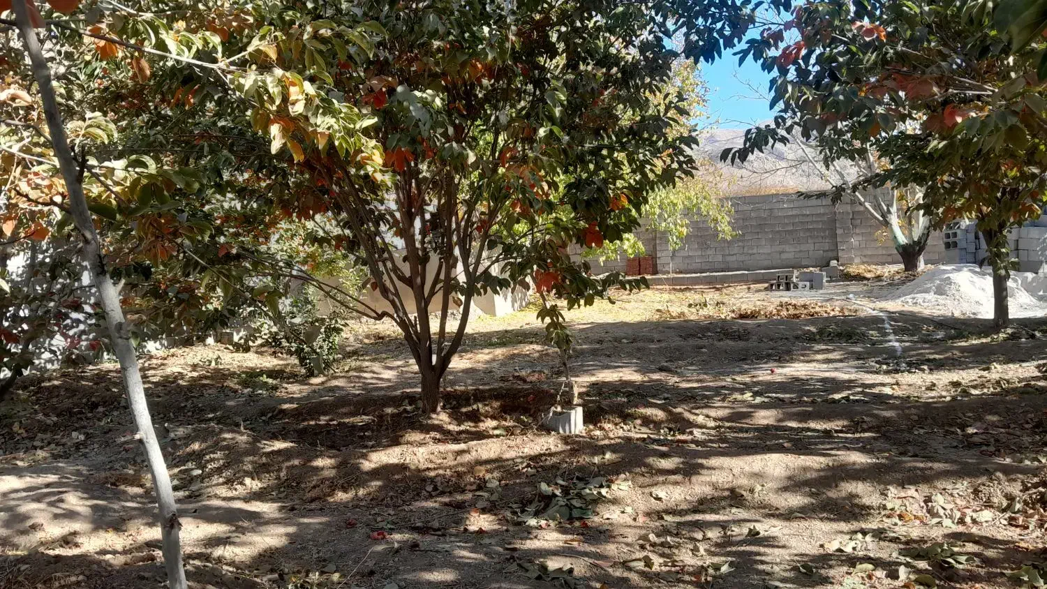 فروش باغچه در متراژهای مختلف|فروش زمین و ملک کلنگی|مرودشت, تخت جمشید|دیوار