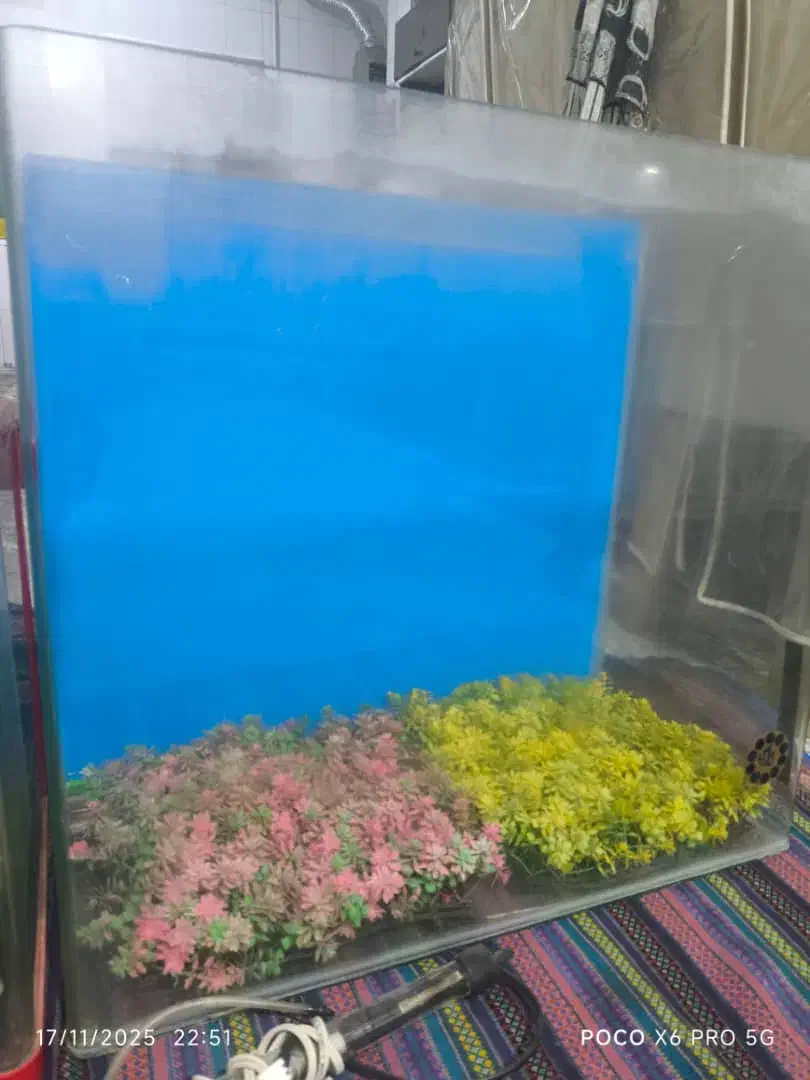 آکواریوم شرکتی|لوازم جانبی حیوانات|قزوین, |دیوار
