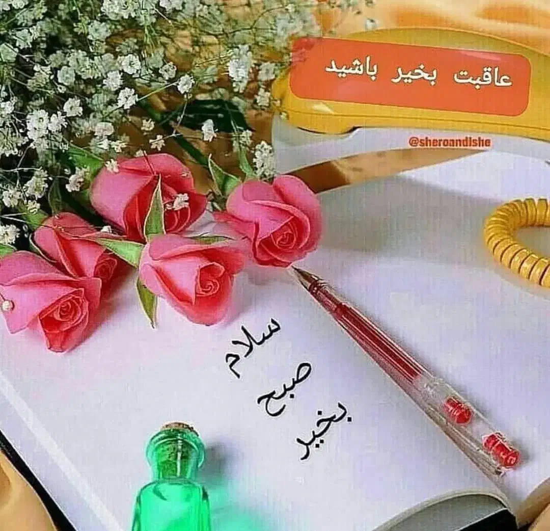 ضامن با پروانه کسب|فعالیت داوطلبانه|تبریز, |دیوار