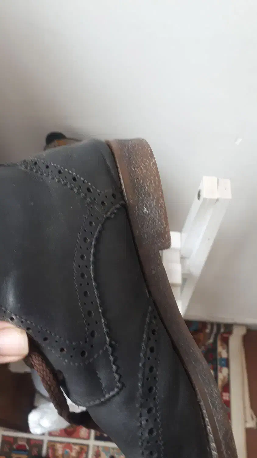 کفش|کیف، کفش، کمربند|کرمانشاه, |دیوار