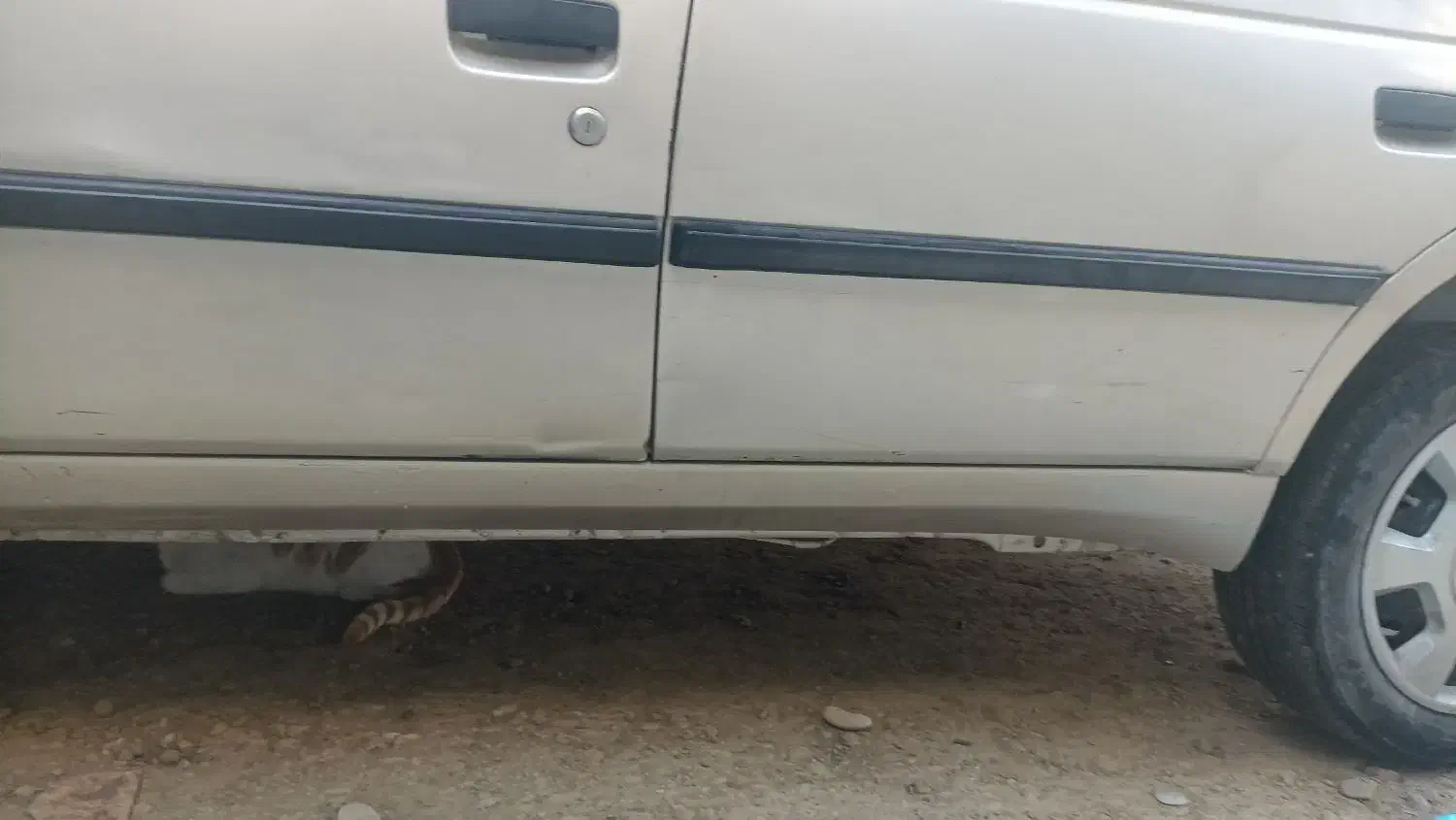 پژوه 405|خودرو سواری و وانت|کنارک, |دیوار