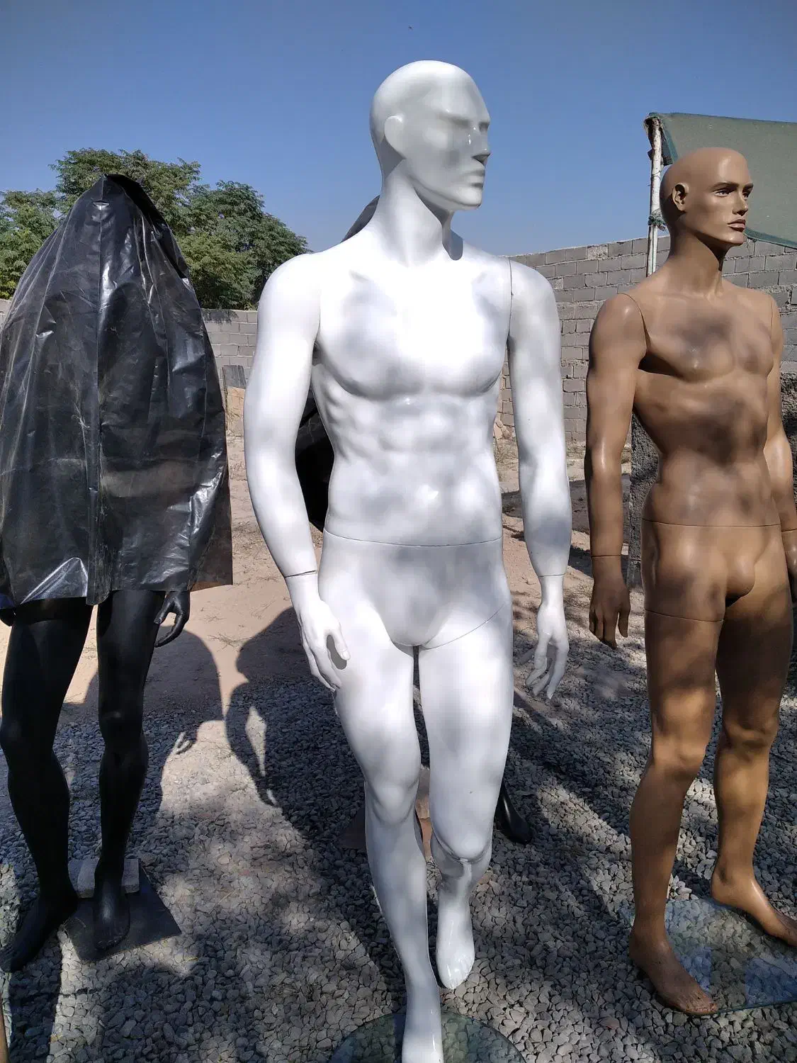 مانکن مردانه ترک(پاپتی)|فروشگاه و مغازه|قرچک, قشلاق جیتو|دیوار