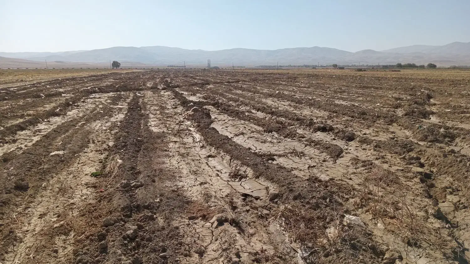 اجاره زمین|اجارهٔ دفتر صنعتی، کشاورزی، تجاری|سامن, |دیوار