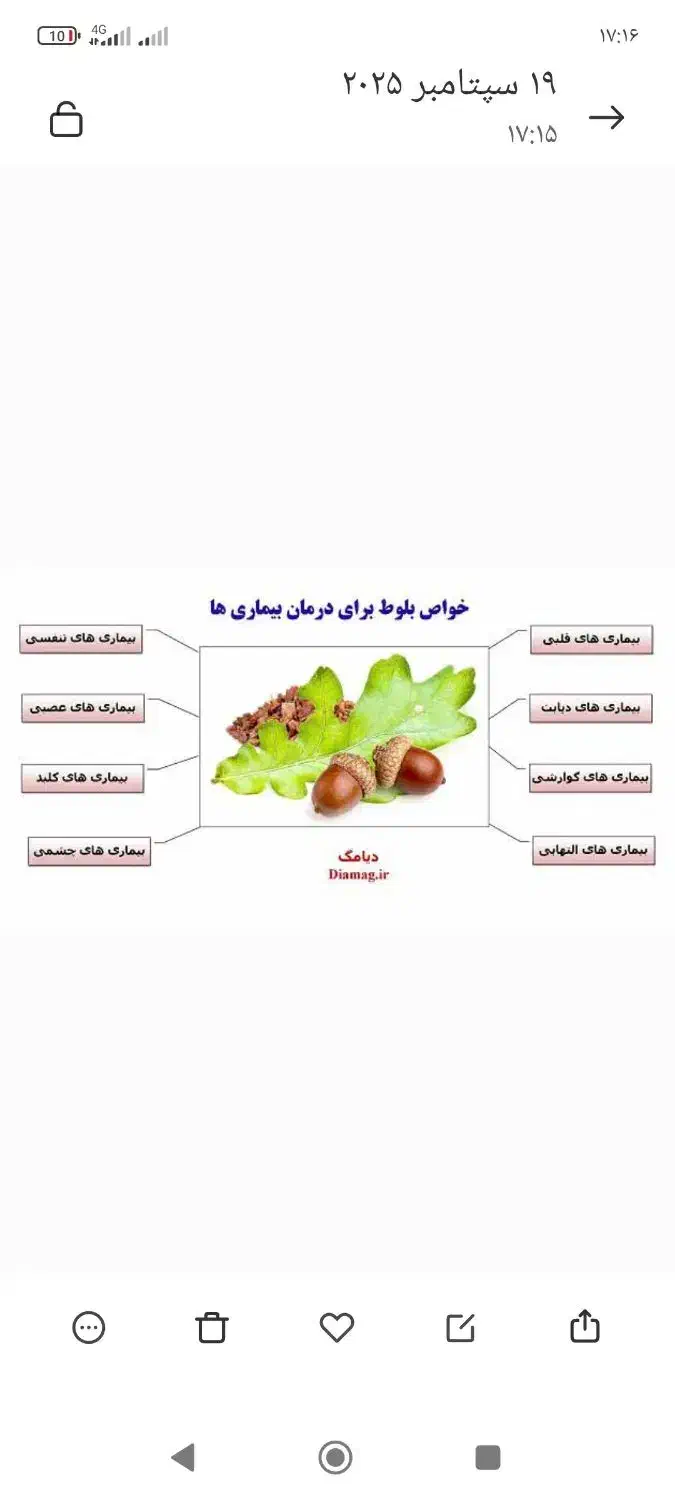 sire balot|خوردنی و آشامیدنی|قلعه شاهین, |دیوار