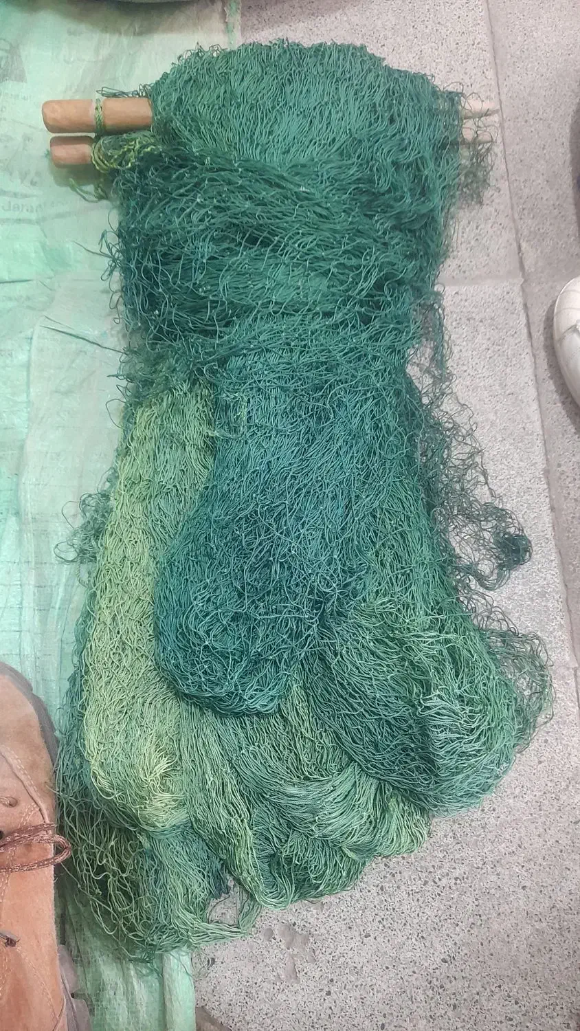 تور ماهیگیری|ماهیگیری|مشهد, رباط طرق|دیوار