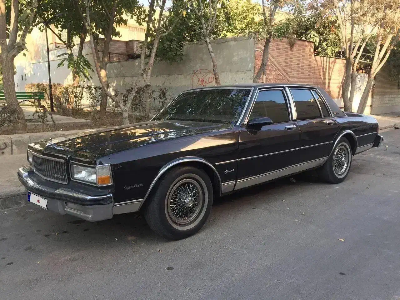 اجاره اتومبیل ماشین کلاسیک|خودرو اجارهای|شیراز, ارم|دیوار