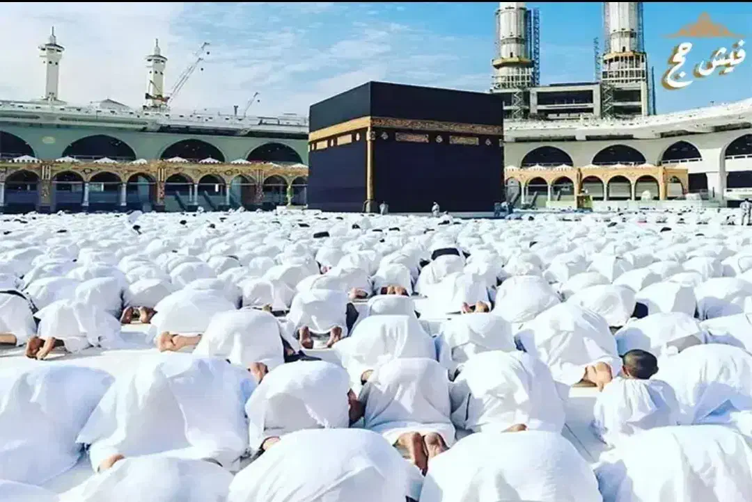 فیش حج شماره ۴۳۰|تور و چارتر|تبریز, |دیوار