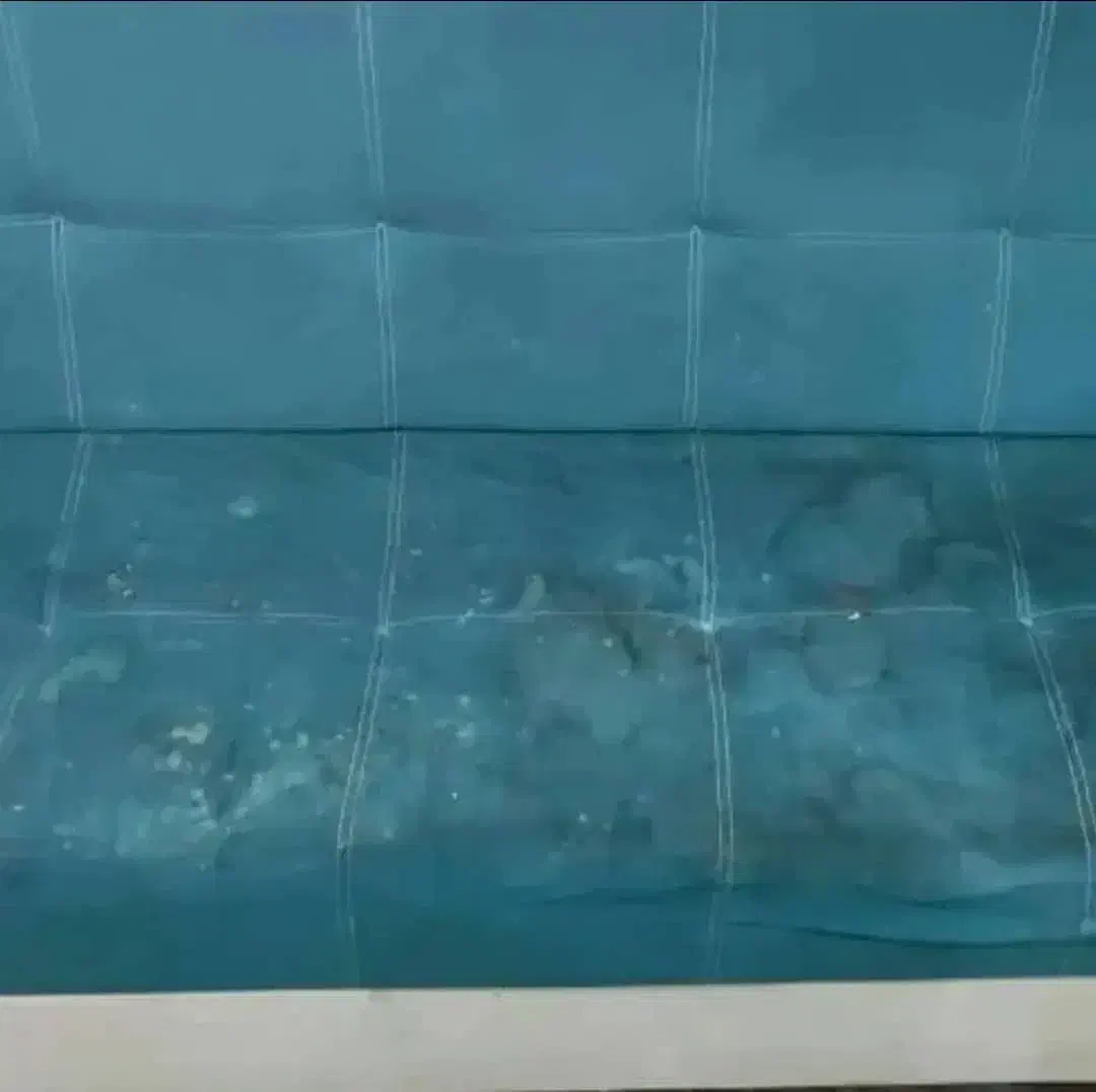 مبل شویی الماس|خدمات نظافت|کلاله, |دیوار