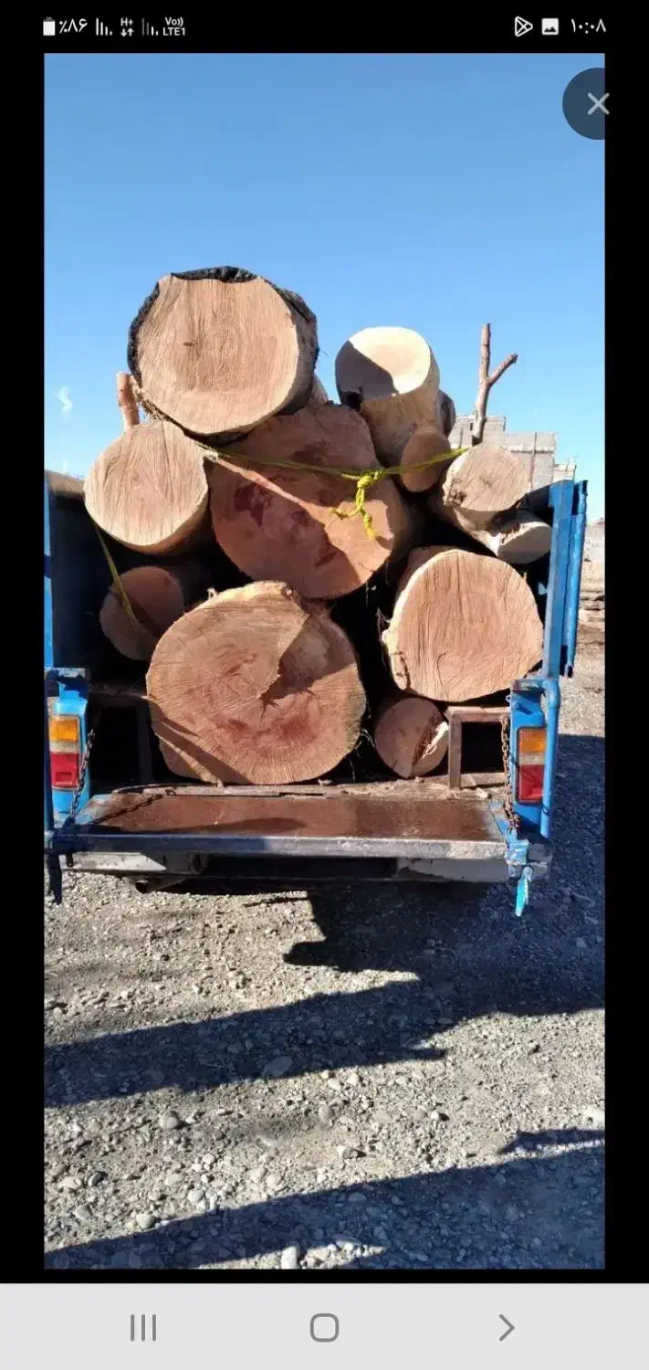خرید انواع چوب با بالا ترین قیمت|خدمات باغبانی و درختکاری|دورود, |دیوار