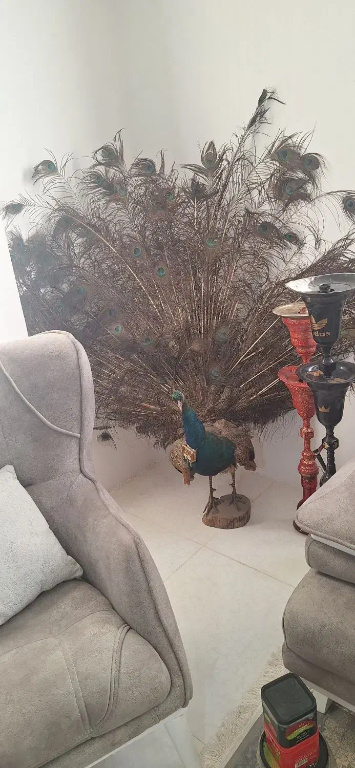 لوازم قلیان|صنایع دستی و سایر لوازم تزئینی|ملارد, |دیوار