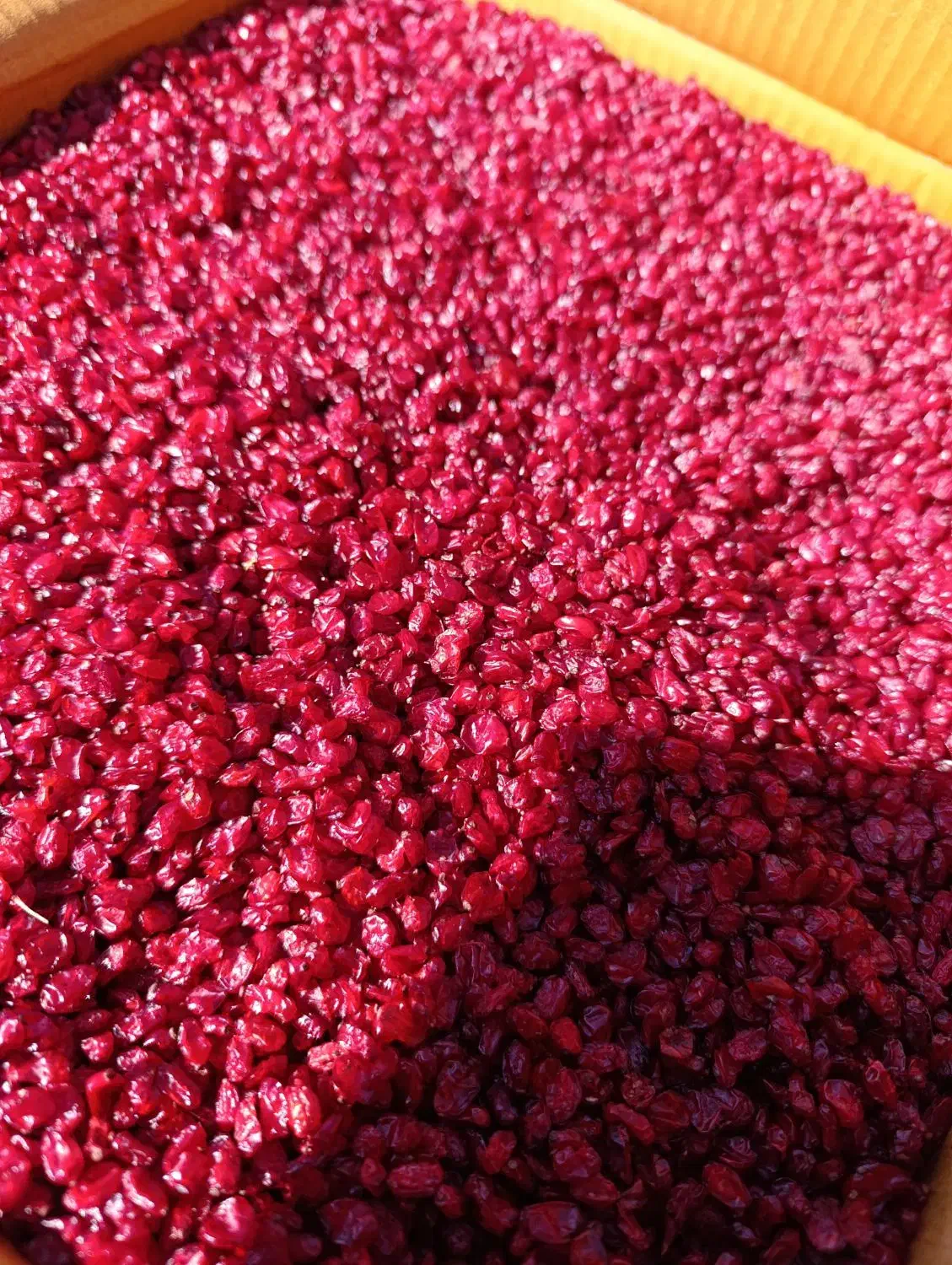 زرشک زیر تالاری و اناری|خوردنی و آشامیدنی|سده (خراسان جنوبی), |دیوار