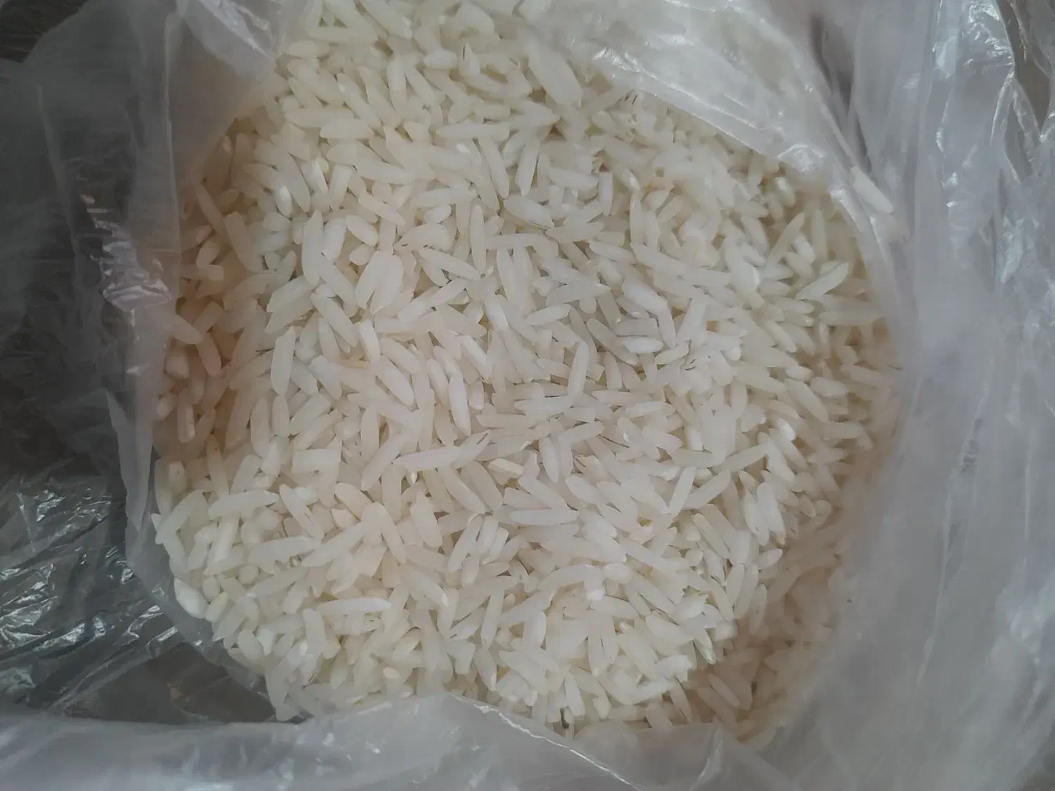 برنج هاشمی|خوردنی و آشامیدنی|سنگر, |دیوار