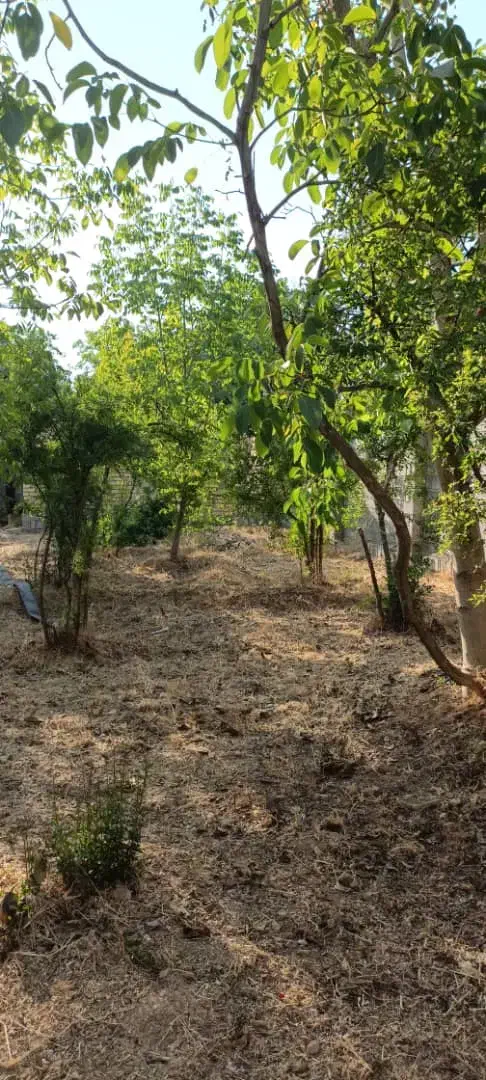 باغ ۵۷۰ متری فاروق مرودشت|فروش زمین و ملک کلنگی|سیدان, |دیوار