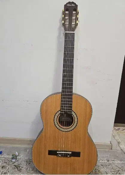 گیتار|گیتار، بیس، امپلیفایر|کرج, فاز ۴ مهرشهر|دیوار