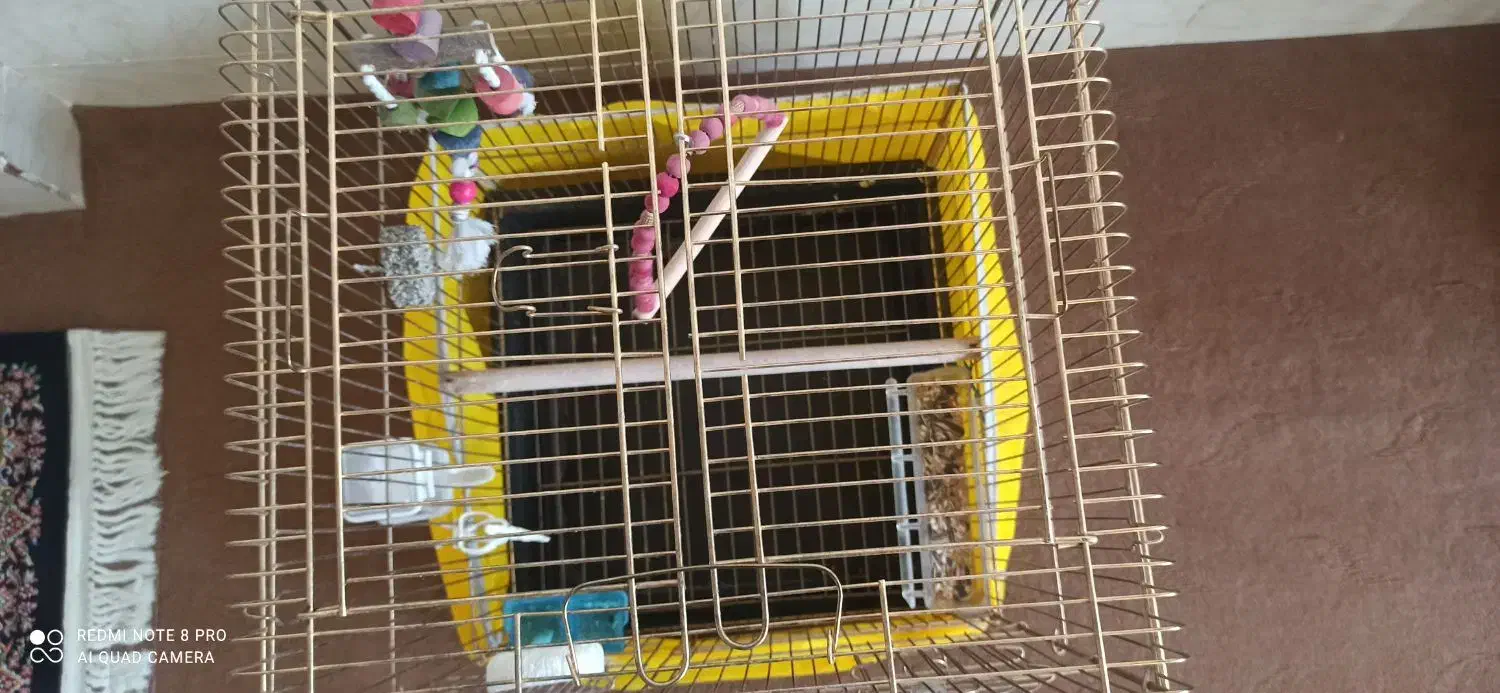 قفسپرندهمخصوصقناری.عروسهلندی.قفسنومیباشد|لوازم جانبی حیوانات|بروجن, |دیوار