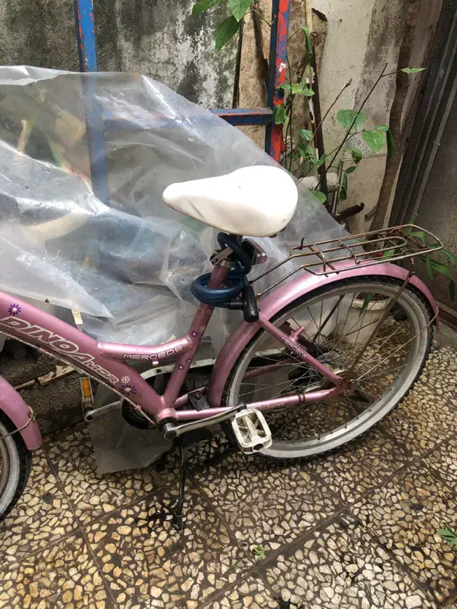 دوچرخه|دوچرخه، اسکیت، اسکوتر|رشت, اسماعیل آباد|دیوار