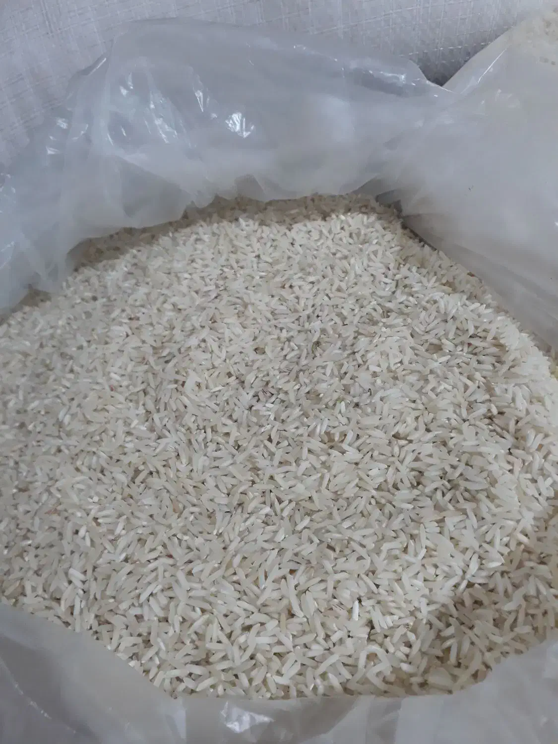 برنج هاشمی|خوردنی و آشامیدنی|سیروان, |دیوار