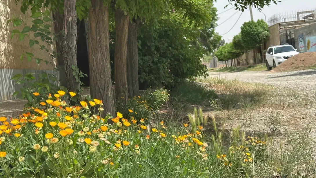 ۵۰۰مترزمین/سند۶دانگ/سهیلیه/زعفرانیه/ اقبالیه|فروش زمین و ملک کلنگی|کوهسار (البرز), |دیوار