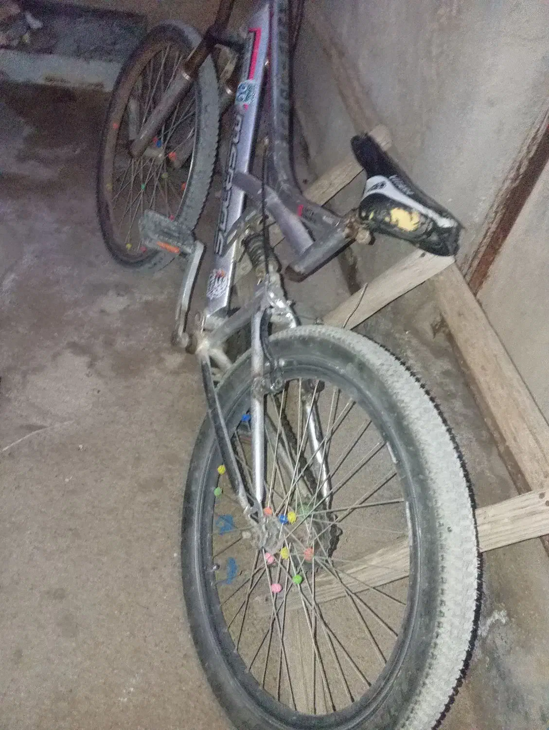 دوچرخه ۲۴ شادگان|دوچرخه، اسکیت، اسکوتر|شادگان, |دیوار