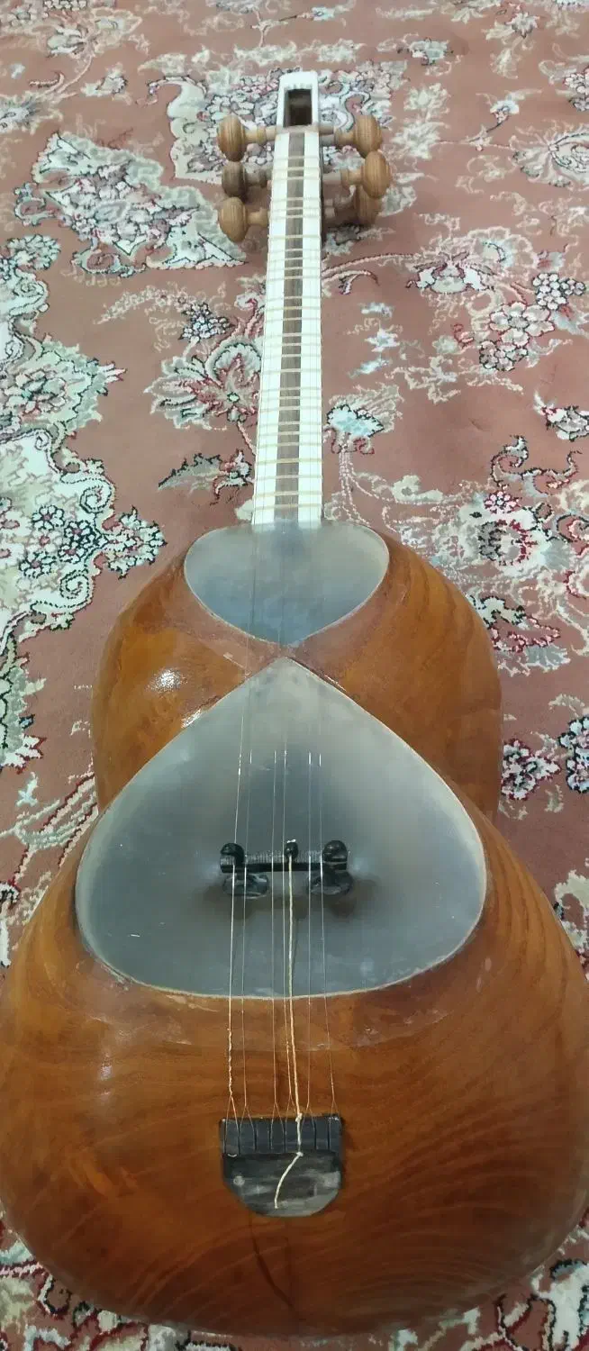 ساز تار|سازهای سنتی|مهاباد (آذربایجان غربی), |دیوار