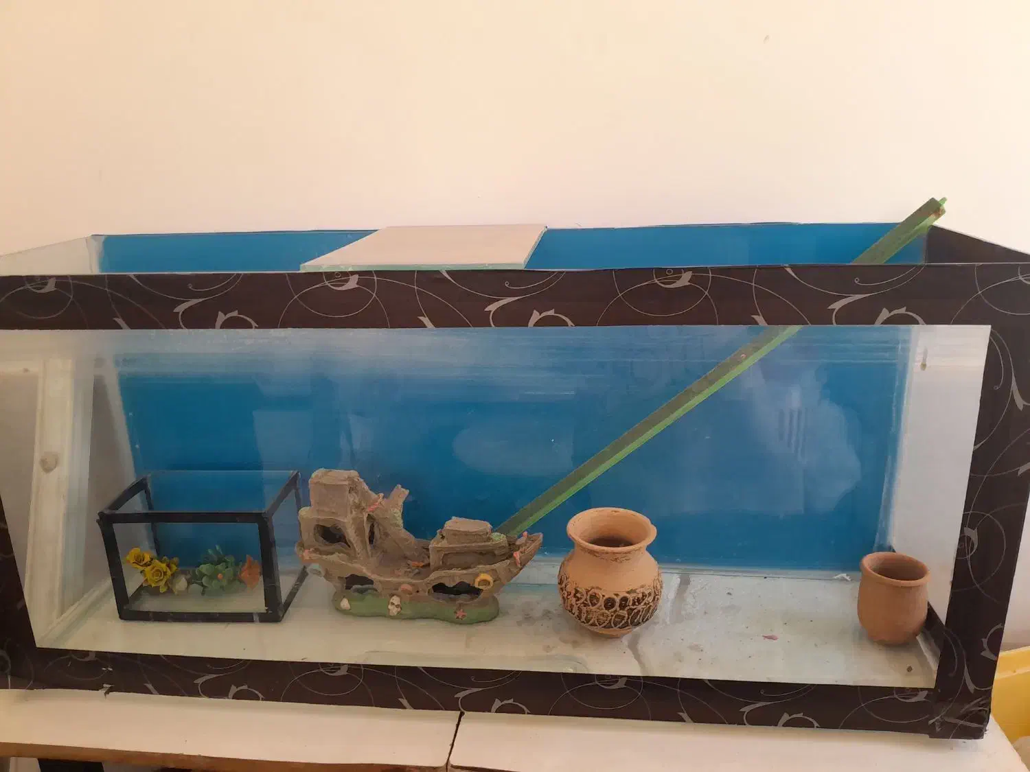 اکواریم وسایل|ماهی|قنوات, |دیوار