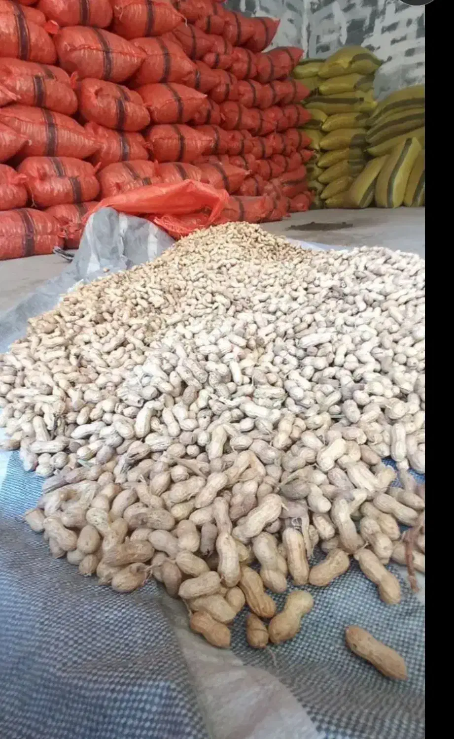 بادام زمینی غلافدار|خوردنی و آشامیدنی|دهگلان, |دیوار