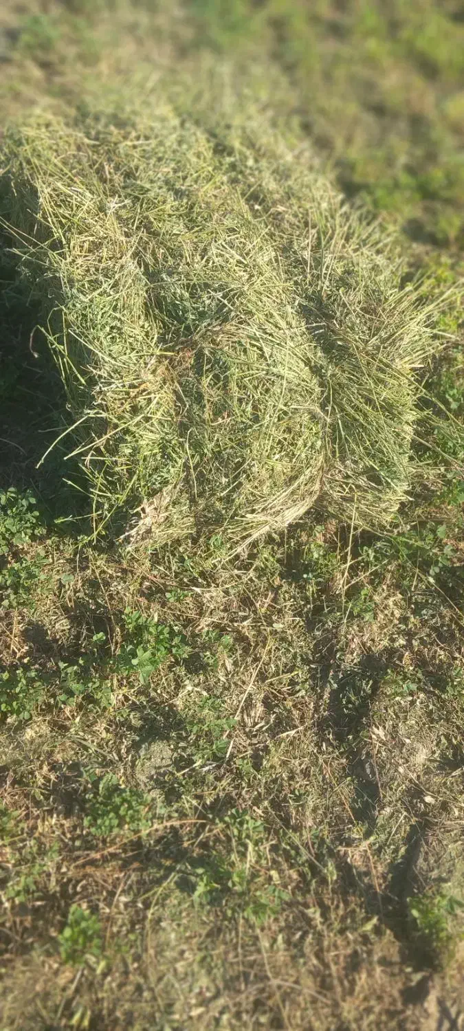 یونجه پرس|عمدهفروشی|قلعه گنج, |دیوار