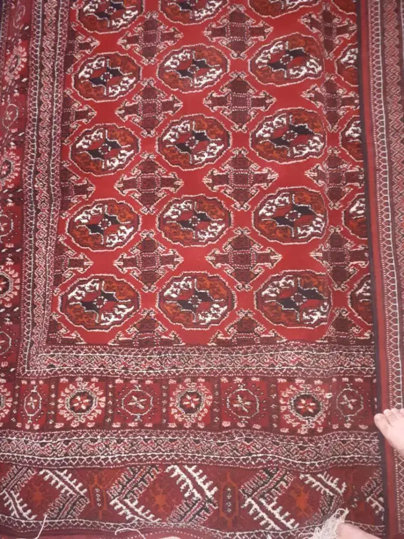 قالی دست بافت و پشتی(ترکمنی)|فرش|گنبد کاووس, |دیوار