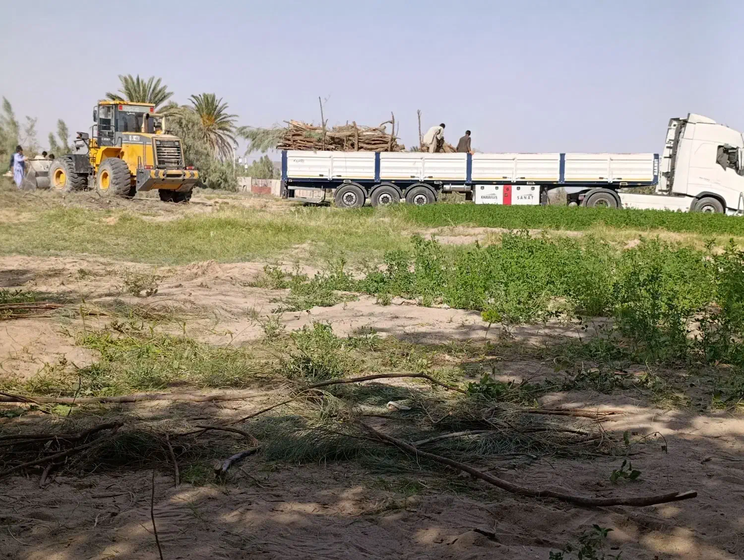 خرید چوب|خدمات باغبانی و درختکاری|خاش, |دیوار