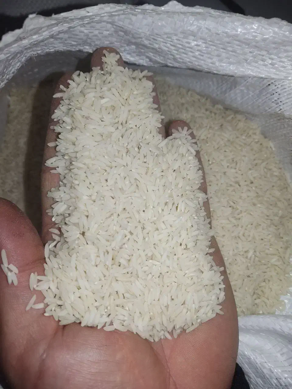 برنج هاشمی|خوردنی و آشامیدنی|رشت, لاکانی|دیوار