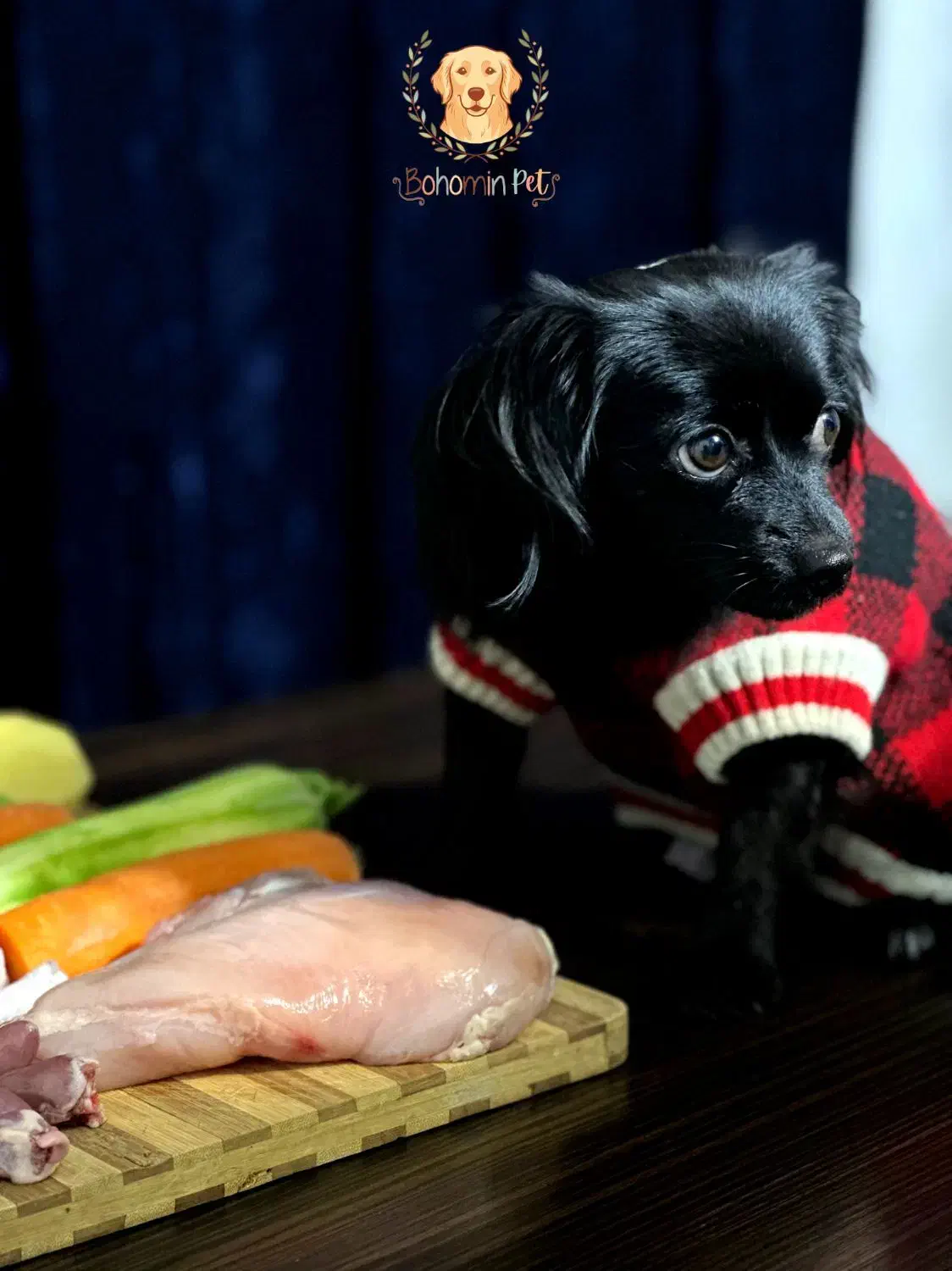 غذای با کیفیت سگ و گربه تضمین کیفیت|لوازم جانبی حیوانات|تهران, امیریه|دیوار