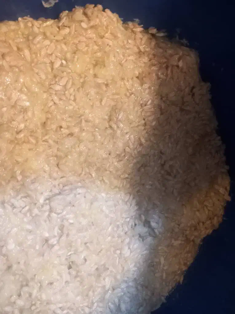 تخم نارنج فروشی|گل و گیاه طبیعی|گرگان, |دیوار