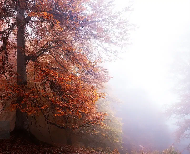 تور ریلی شمال|تور و چارتر|مرودشت, بیست متری بیمارستان|دیوار