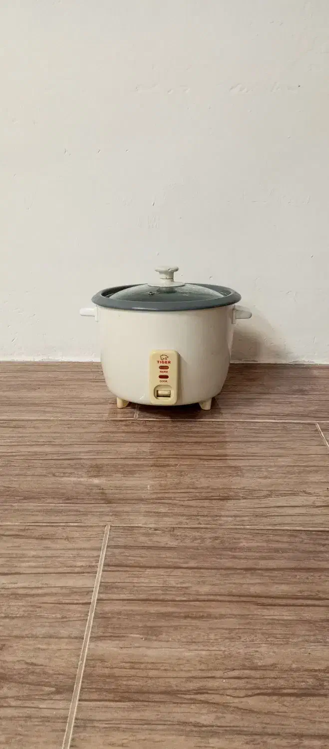 دو عدد پلوپز|ظروف پختوپز|آستانه اشرفیه, |دیوار