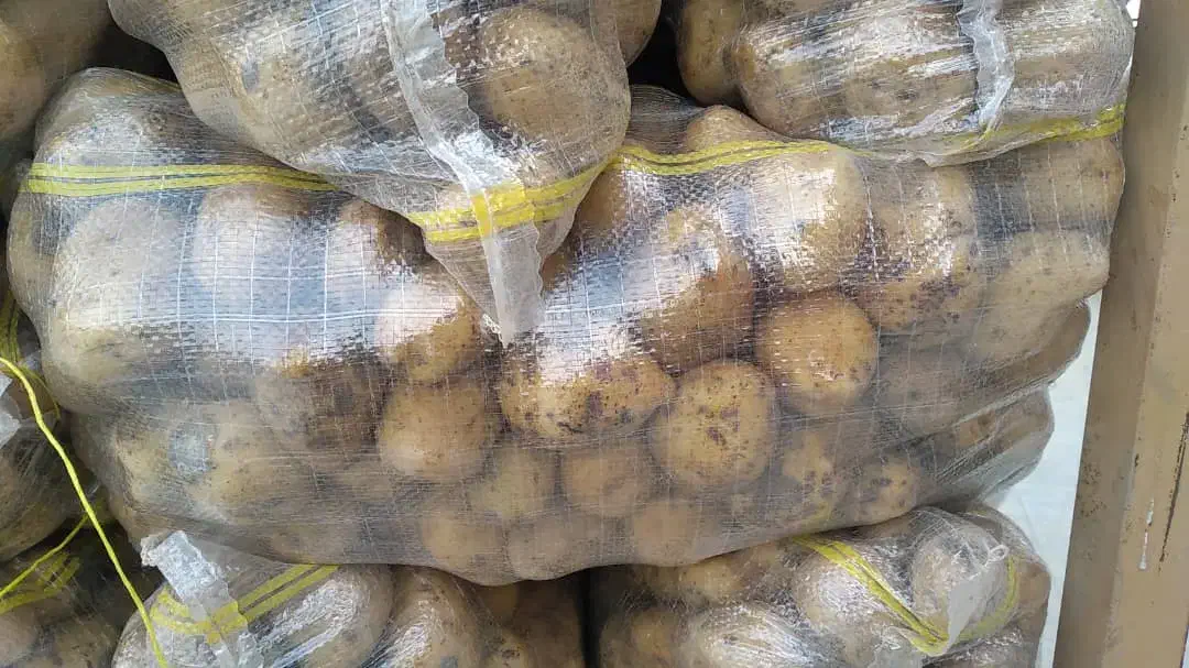 سیب زمینی آگریاوجلی خوراک و بذری ،انواع بذرها|عمده‌فروشی|داران, |دیوار